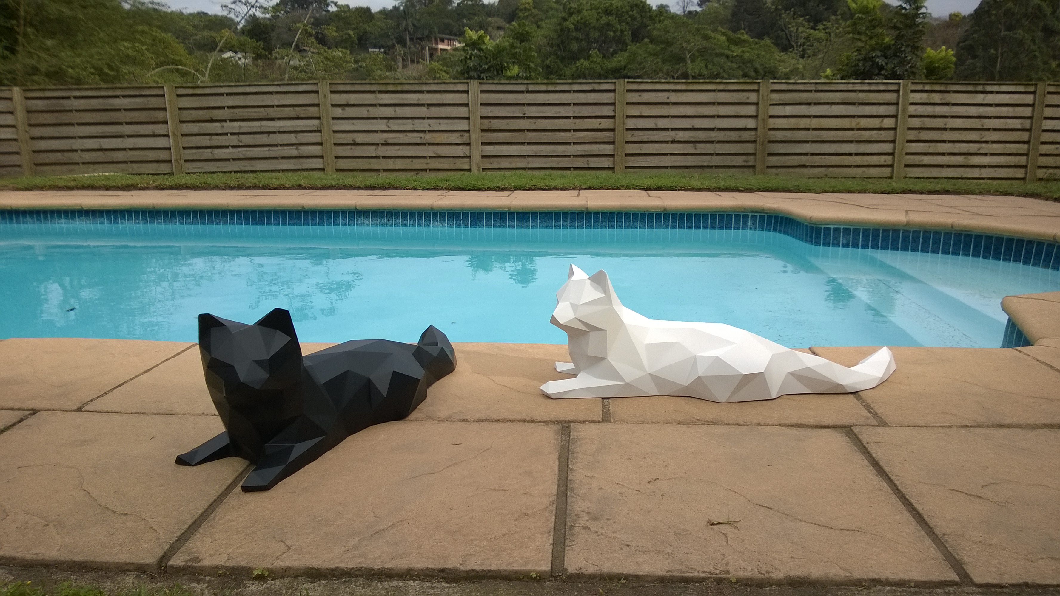 Laying Down Cat Thumbnail